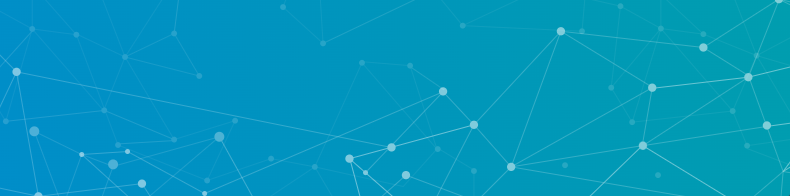 Web Service CDN